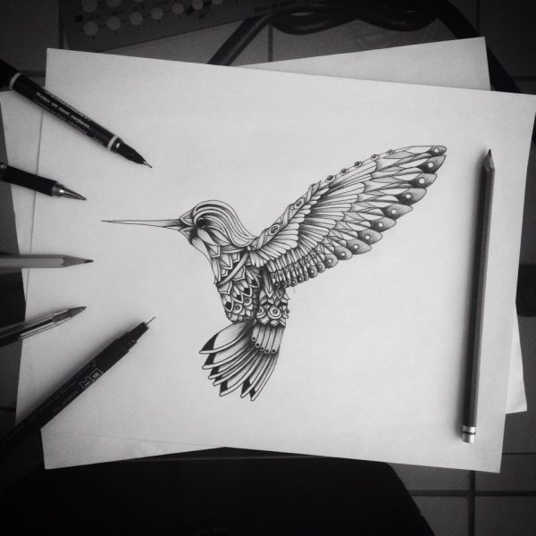 Геометрическая Колибри эскиз