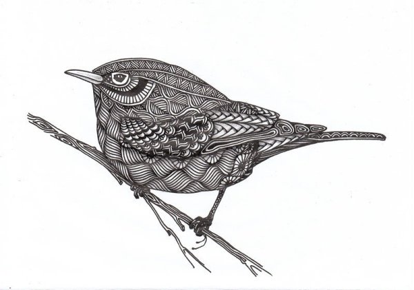 Графическая птица