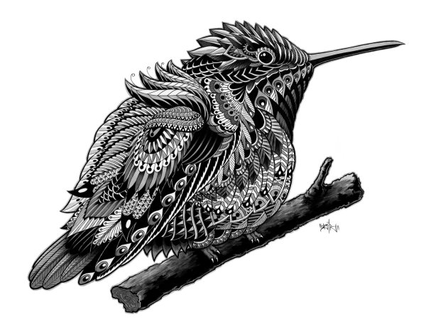 Птицы Графика