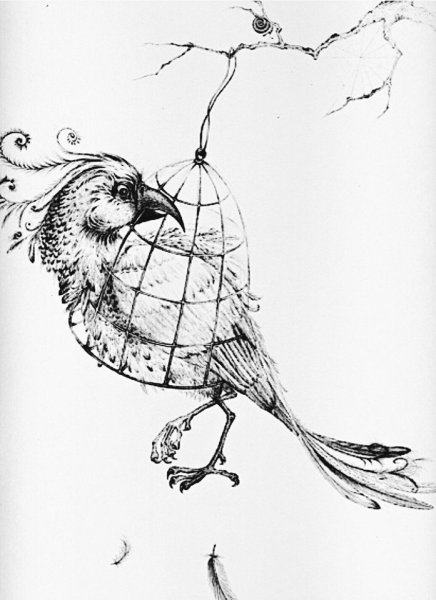 Птица в стиле Графика