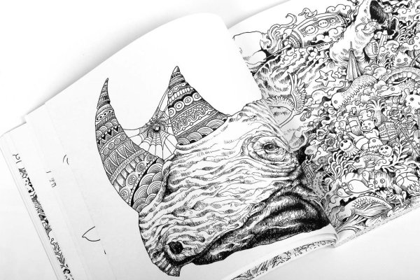 Зенарт дракон