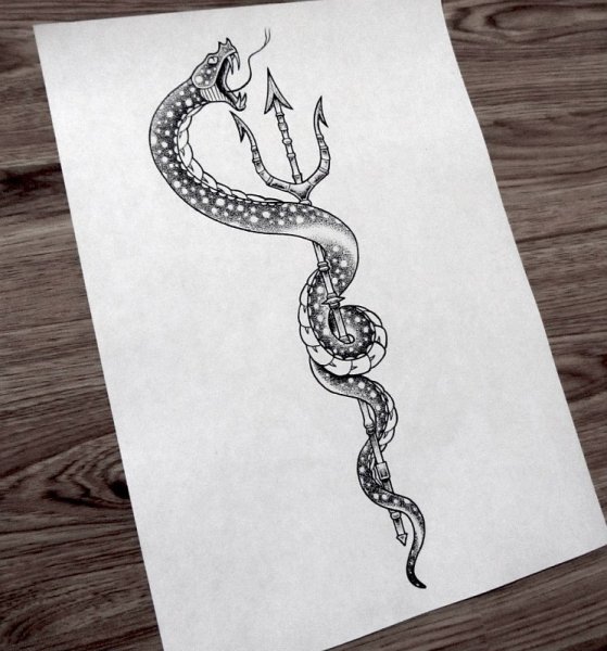 Змея эскиз