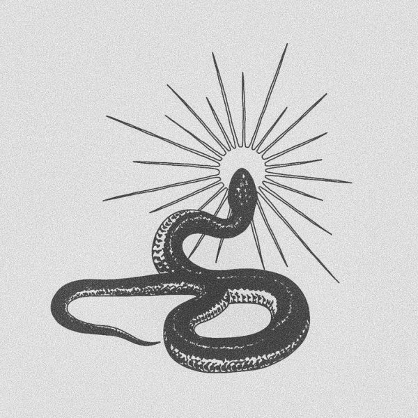 Тату змеи эскизы Минимализм