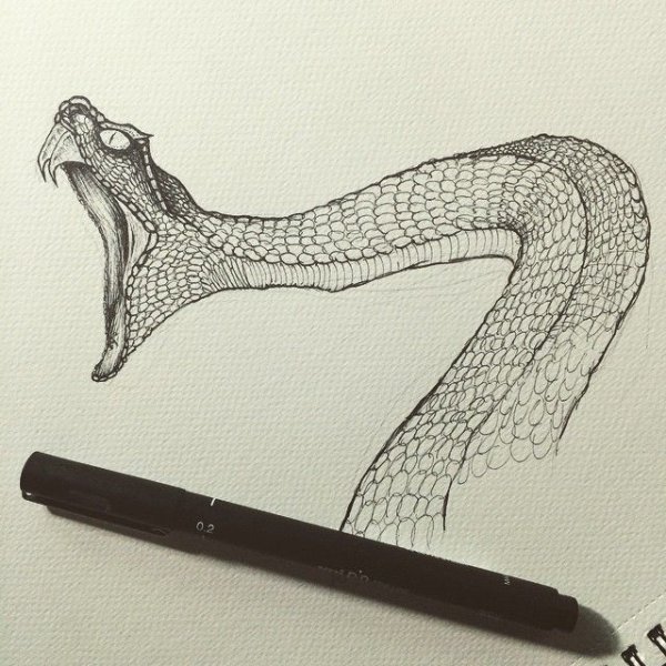 Змея гелевой ручкой