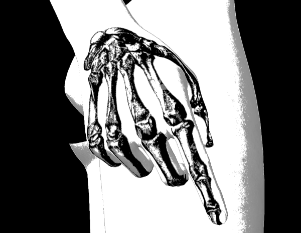 Скелет руки