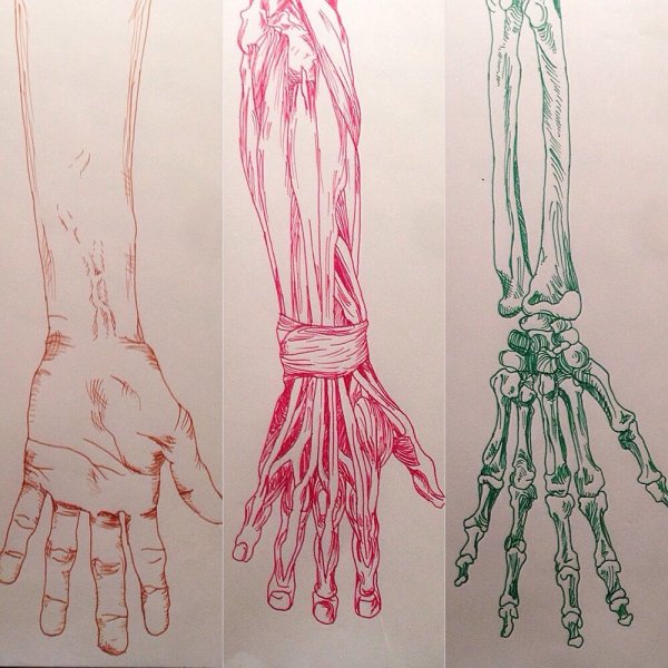 Руки рисунок Эстетика