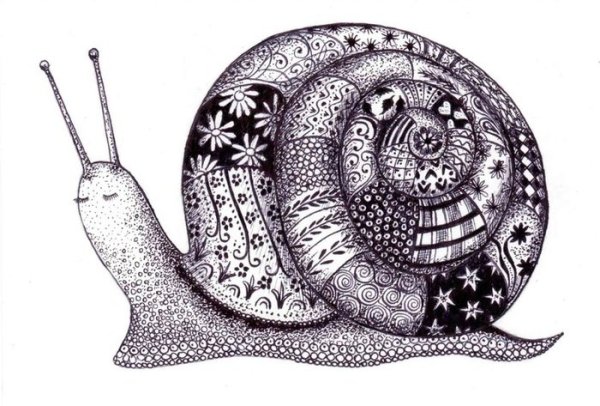 Зентангл улитка