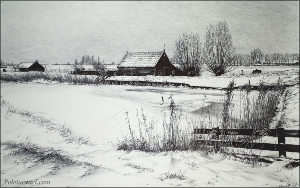 Художник Андрей Полетаев картины шариковой ручкой