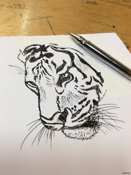 Рисунки чёрной гелевой ручкой