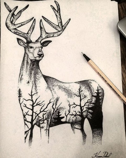 Олень эскиз