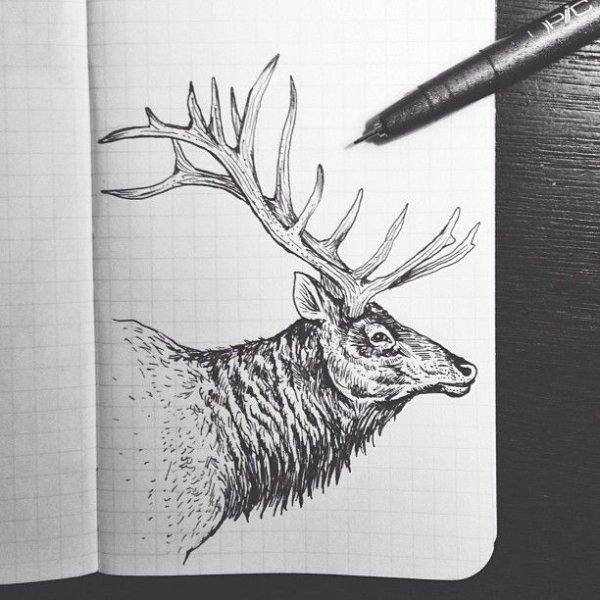 Олени для скетчбука