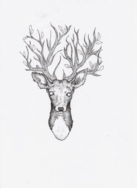 Олень черной ручкой