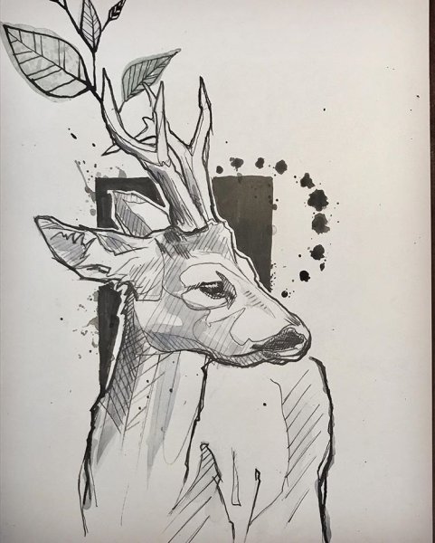 Животные линером