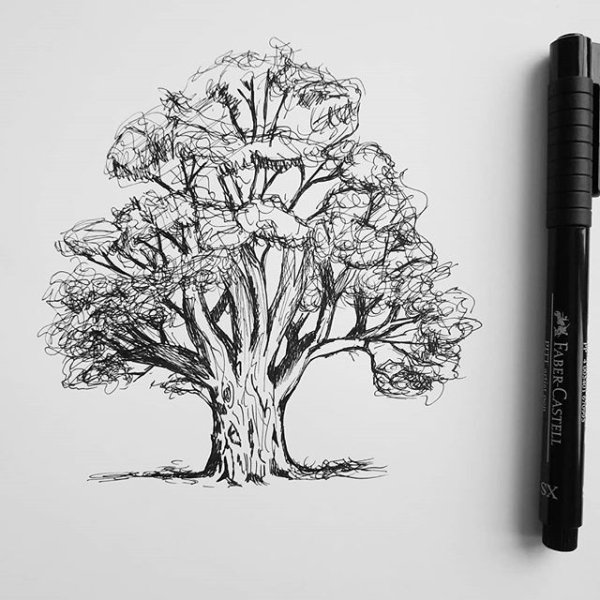 Деревья линером