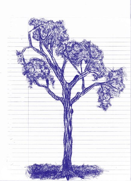 Образ дерева в графике