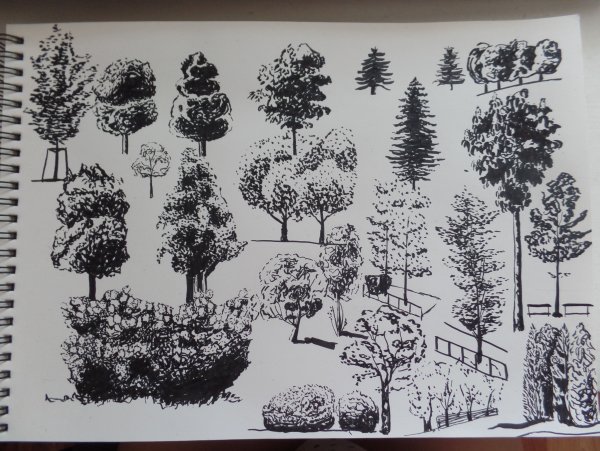 Дерево ручкой