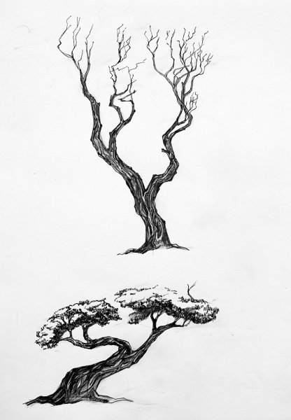 Рисунки ручкой для срисовки