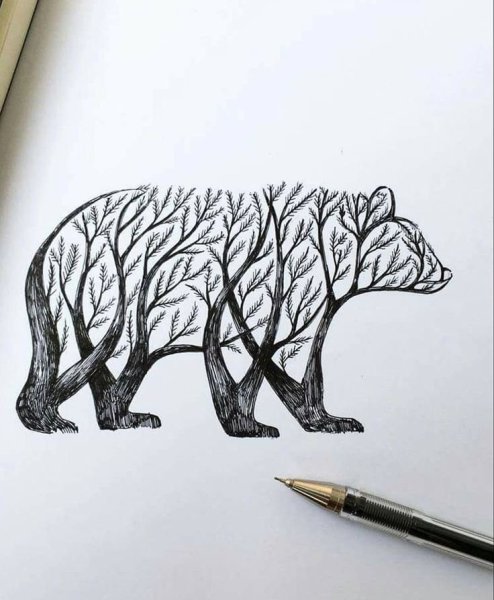 Альфред баша