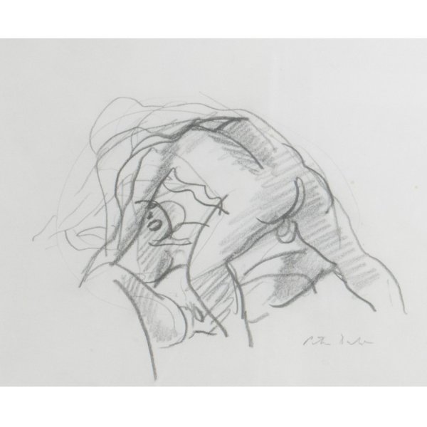 Удивительные рисунки шариковой ручкой