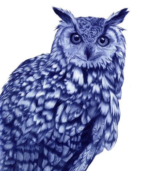 С ручкой Сова