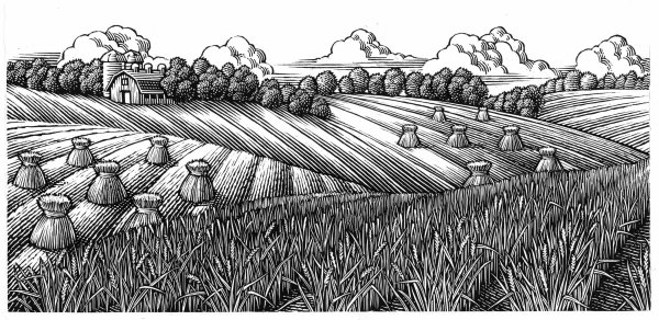 Зарисовки на полях