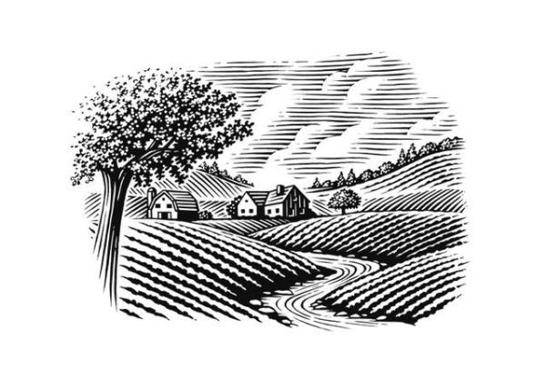 Графика пейзаж гравюра