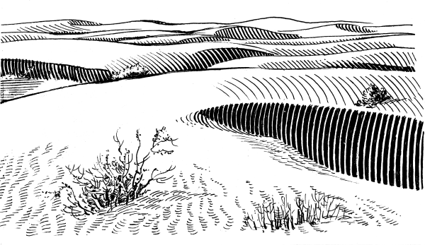 Пустыня Графика