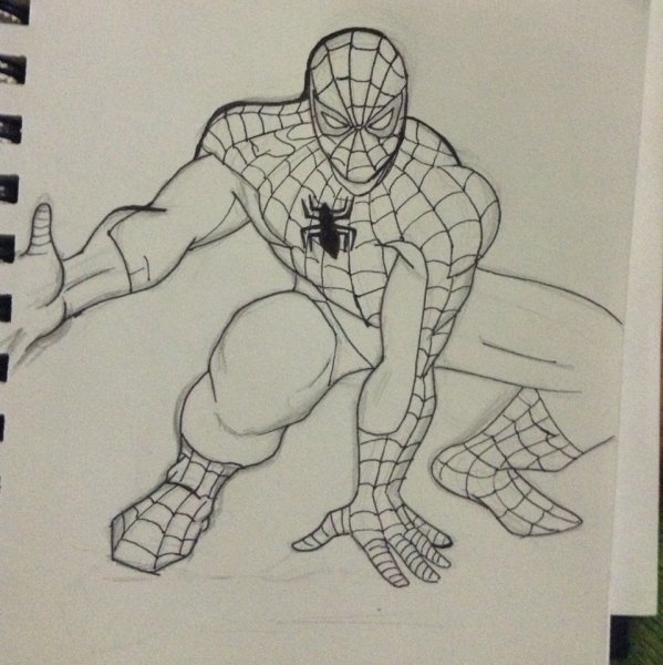 Человек паук сзади рисунок