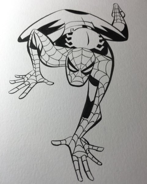 Bruce Timm Spider man