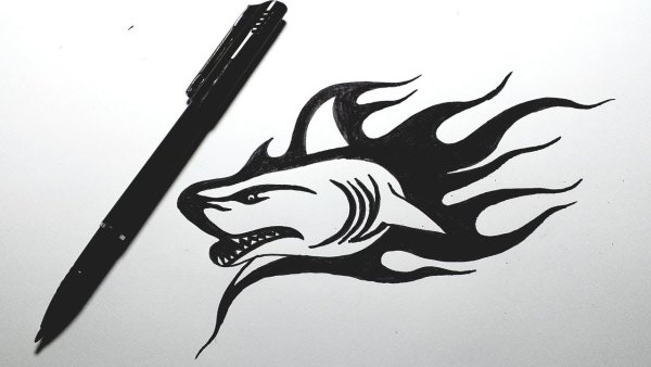 Акула рисунок ручкой