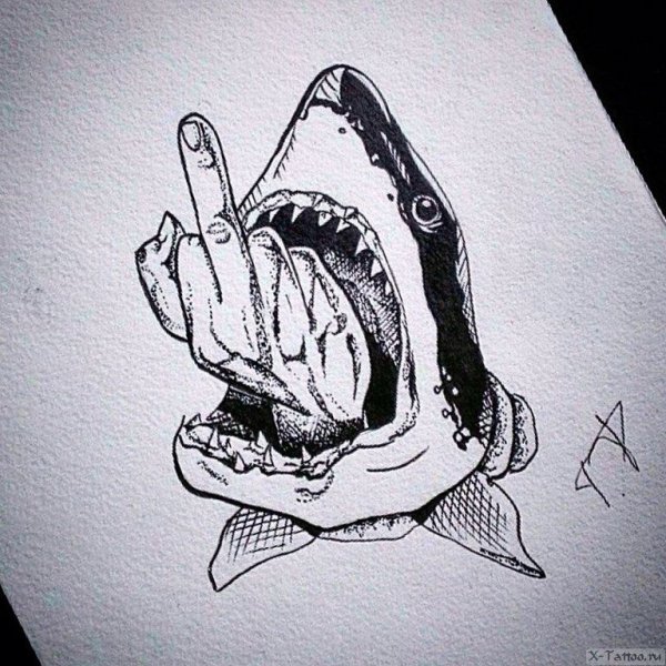 Тату акула эскиз
