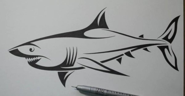 Тату ручкой акула
