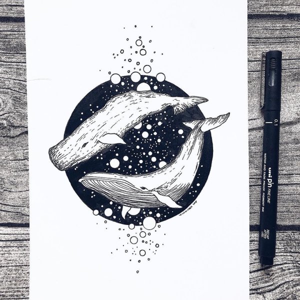 Кит рисунок карандашом эскизы