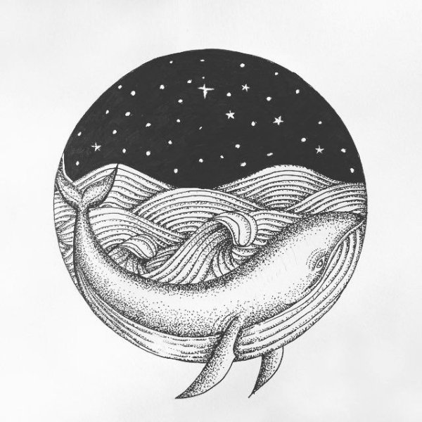 Эскизы китов