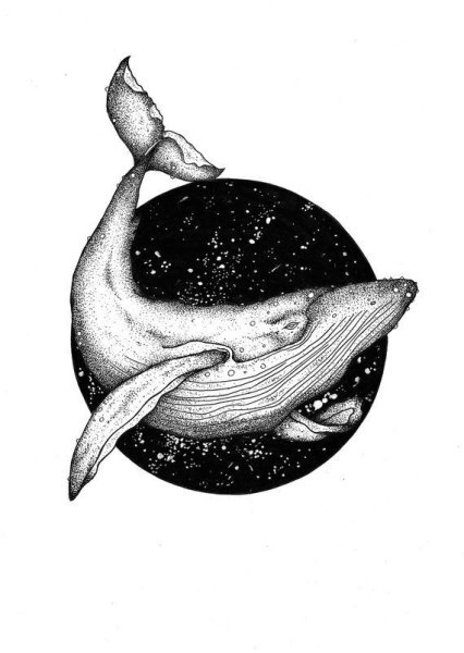 Кит эскиз черный