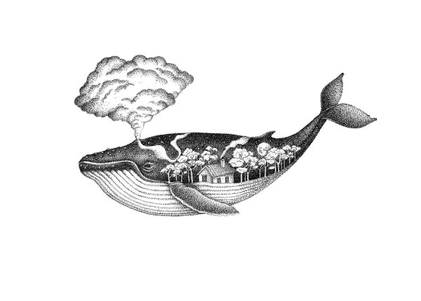 Кит контурный тату