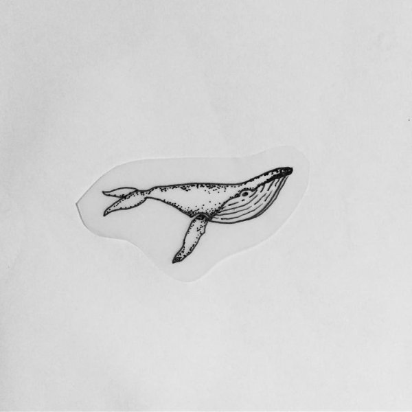 Тату кит эскиз