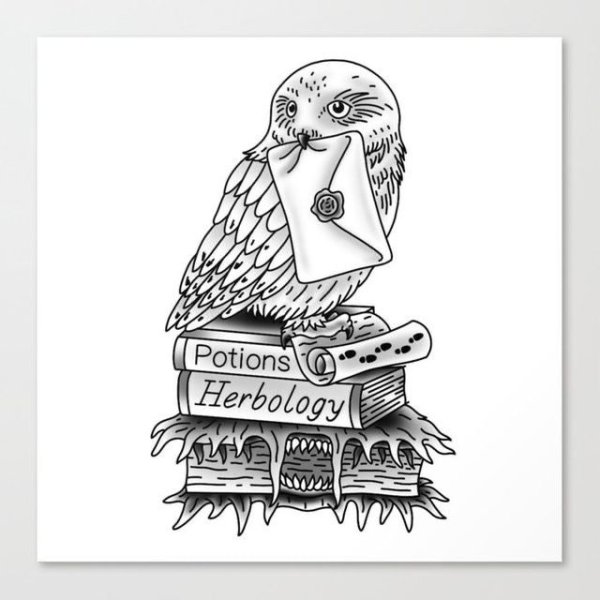 Раскраска Гарри Поттер Букля