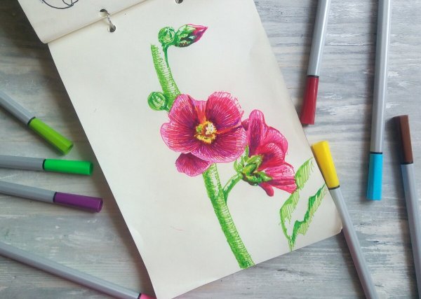 Цветы капиллярной ручкой