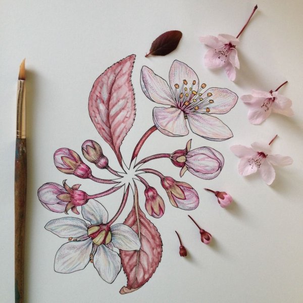 Идеи для рисунков цветы