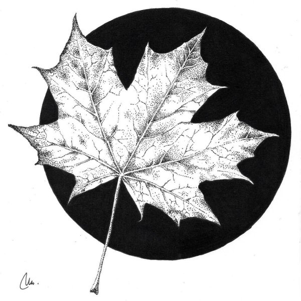 Листья эскиз