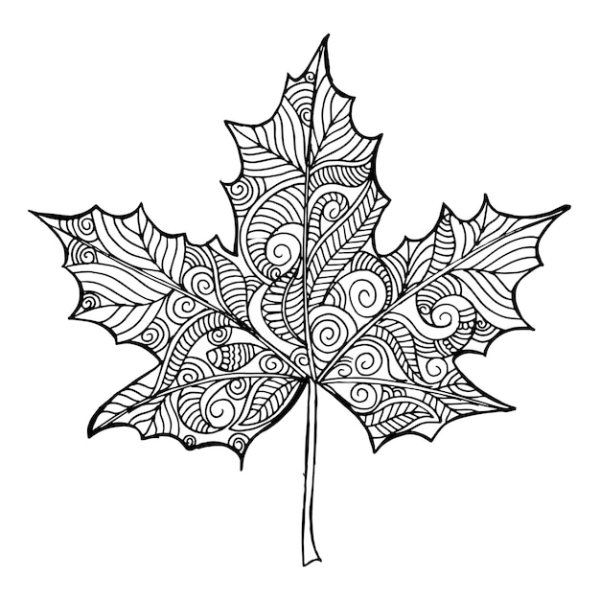 Стилизованный кленовый лист
