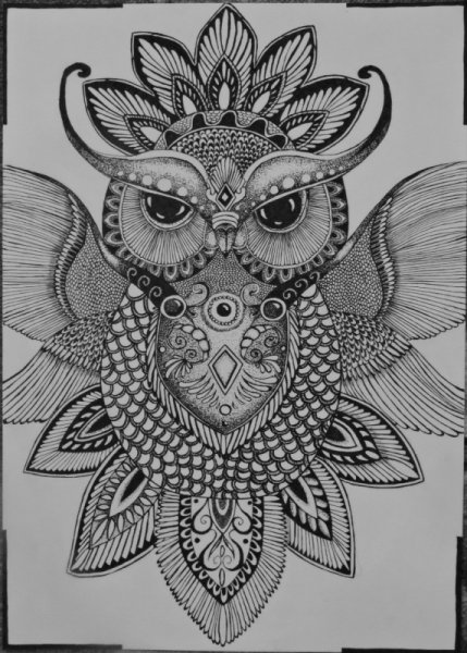 Дудлинг Сова