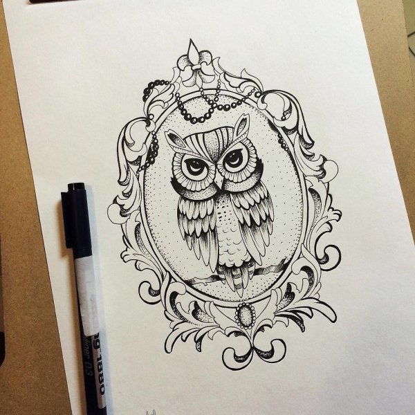 Совы для скетчбука