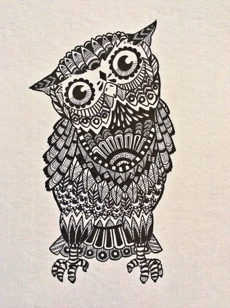 Зенарт Сова