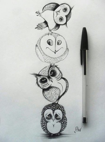 Сова маркерами