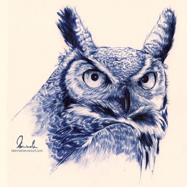 Сова рисунок ручкой