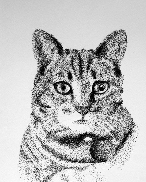 Точечная Графика