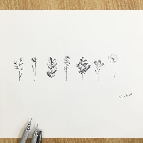 Тату в стиле Минимализм цветы