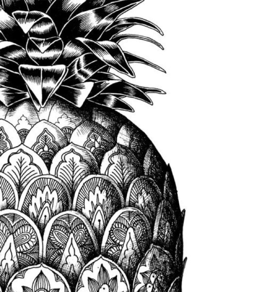 Ананас контур